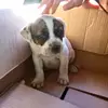 Benjamín Eugenio Viveros Fritz - @benjaminviveroxproxd - TikTok