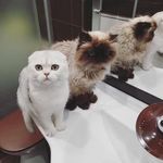 Everest And Benjamin - @everest_benjamin - Instagram