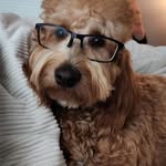 Sir Benjamin Everest - @adventures_of_sir_benjamin - Instagram