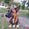 Benjamin Fabian Valdez Valdez - @benjamin.fabian.v - TikTok
