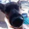 Ben Fair - @ben.fair - TikTok