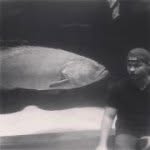 Benjamin Fairchild - @fairchildbd - Instagram