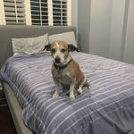 @benj_aminfarber - Instagram