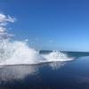 Benjamin Farber - @benjamin.z.f - TikTok