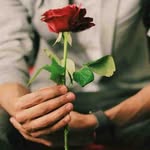 بنجامین فررخی - @benjamin.farrukhi_2098 - Instagram