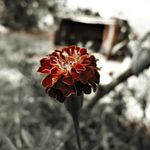 Benjamin Faust - @benjaminfaust - Instagram