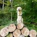 Benjamin Feldmann - Facebook