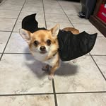 Benjamin Finch - @grinch264 - Instagram