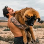 Ben Findlay - @benjaminfindlay - Instagram