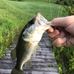 Benjamin Floyd - Facebook