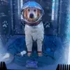 benjamin Floyd - @wodger_wabbit - TikTok