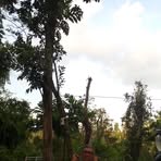 Benjamin Fontanez - Facebook