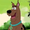benj - @benjamin.foo - TikTok