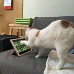Benjamin Foo - @benjamin.foo.96 - Instagram