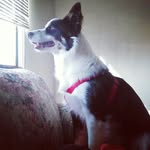 benjamin - @benjaminforeman9 - Instagram