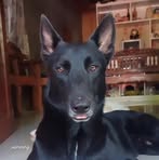 Ben Foronda - Facebook