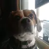Ben - @benjaminfortnitereed - TikTok