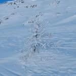 Benjamin Fort - @benjamin.fort.14 - Instagram