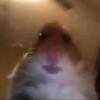 Benjamin Frick315 - @xxxtentacion123455677 - TikTok