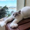 Benjaminfrost_ - @benjaminfrost_ - TikTok