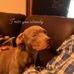 Benjamin Fuller - Facebook