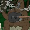 Dr. Diddy - @benjamin.fuller8 - TikTok