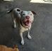 Benjamin Galarza - Facebook