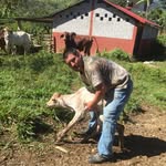 Benjamin Galicia Argueta - @benjamingaliciaargueta - Instagram