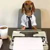 Gallobenjamin_ - @gallobenjamin_ - TikTok