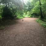 Benjamin Gannon - @benjamin.gannon - Instagram