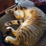 Benjamin Gilmore - @gilmore.9722 - Instagram