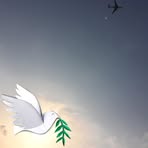 Benjamin Gold - Facebook