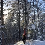 Benjamin Golden - @benjamin.golden113_3 - Instagram