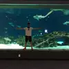 Benjamin Goldstein - @_aquaben - TikTok