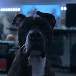 Benji Gonzales - @_benjamin_gonzales - Instagram