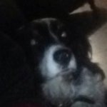 Roley Benjamin Greenhill - @roley_greenhill - Instagram
