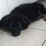 benjamin gross - @benjamingross_ - Instagram