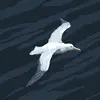 Benjamin - @benjamin.guardado1 - TikTok