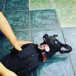 benjamin guerrero - @guerrbenjamin - Instagram