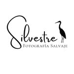 Benjamín Guerrero - @silvestree.ph - Instagram