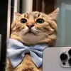 Benjamin Guerrero - @benjamin.guerrero71 - TikTok