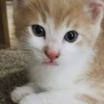 Benjamin Guffey - @benjamin.guffey.33 - Instagram