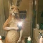 Benjamin Guido - @aook.250 - Instagram