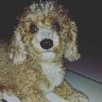 Benjamin Guillen - @benjamin.guillen.77 - Instagram