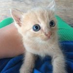 Benjamin Guillory - @benjamin.guillory - Instagram