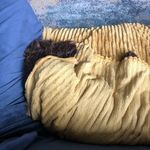 Benjamin Guise - @benjamin.guise - Instagram