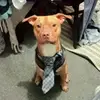 Benjamin Meguyer - @benjamin.meguyer - TikTok
