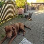 Benjamin Haase - @benjamin.haase.71 - Instagram
