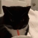 Benjamin Hackett - @benj_aminhack - Instagram