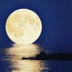 Benjamin Haden - @benjamin.haden002 - Instagram